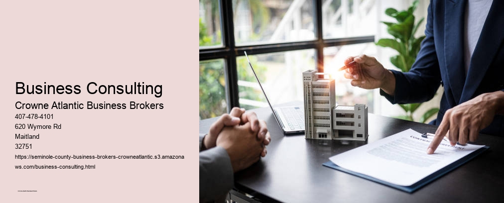 Business Consulting
