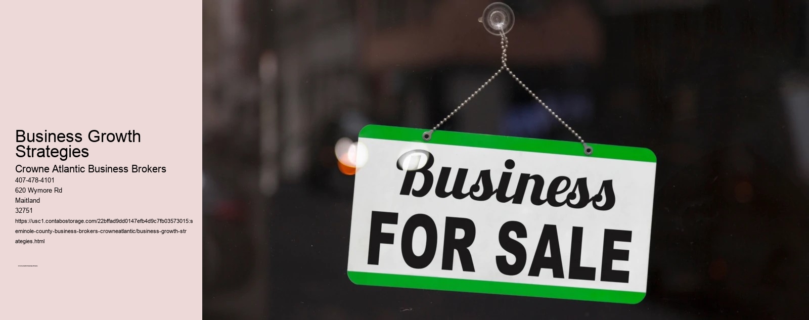 Business Growth Strategies