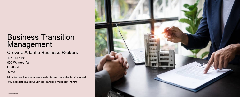 Business Transition Management