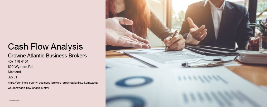 Cash Flow Analysis