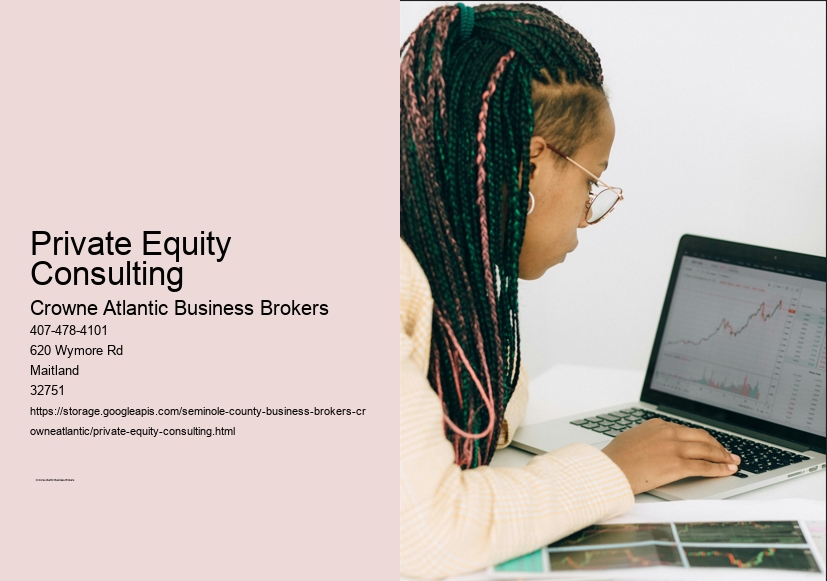 Private Equity Consulting